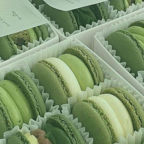 moodboard image displaying green macarons