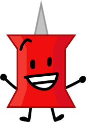pin asset